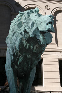 lion